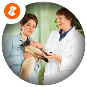 Primeiros Socorros - Cão e Gato EAD